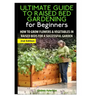The Ultimate Guide to Raised Bed Gardening for Beginners