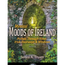 Portals Through Time - Irish Doorways & Windows: Mystical Moods of Ireland, Vol. VI
