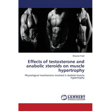 Effects of testosterone and anabolic steroids on muscle hypertrophy