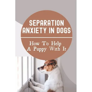 Separation Anxiety In Dogs: How To Help A Puppy With It: How To Break A Dog'S Separation Anxiety
