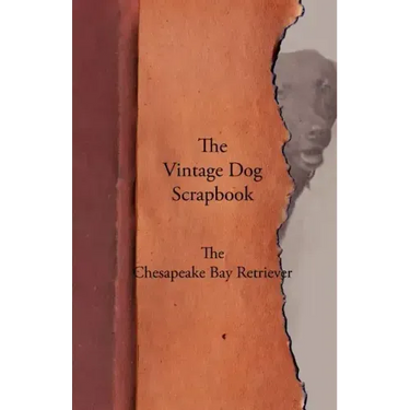 The Vintage Dog Scrapbook - The Chesapeake Bay Retriever