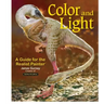 Color and Light: A Guide for the Realist Painter Volume 2