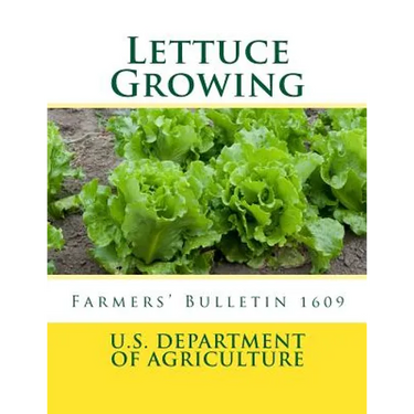 Lettuce Growing: Farmers' Bulletin 1609