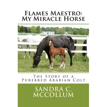 Flames Maestro: My Miracle Horse: The Story of a Purebred Arabian Colt