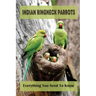 Indian Ringneck Parrots: Everything You Need To Know: Fun Facts About Indian Ringneck