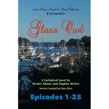 Glass Owl: Part 1