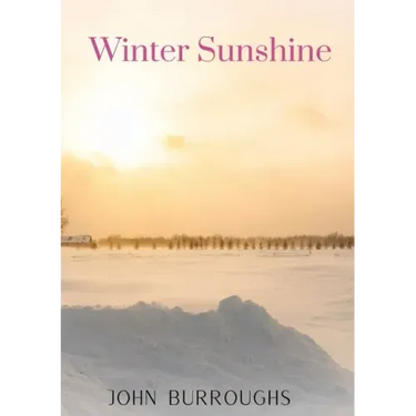 Winter Sunshine