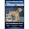 Soft Coated Wheaten Terrier Training Dog Training with the No BRAINER Dog TRAINER We Make it That EASY!: How to EASILY TRAIN Your Soft Coated Wheaten