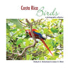 Costa Rica Birds: A Photographic Collection