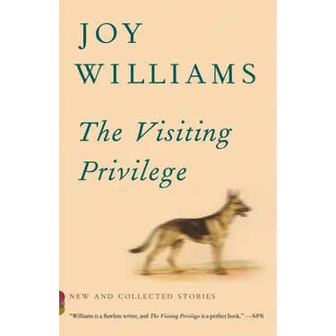 The Visiting Privilege: New and Collected Stories