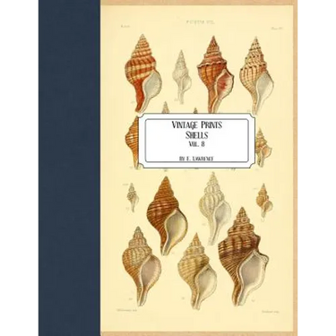 Vintage Prints: Shells: Vol. 8