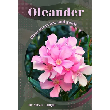 Oleander: Plant overview and guide