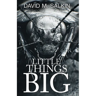 Little Things Big