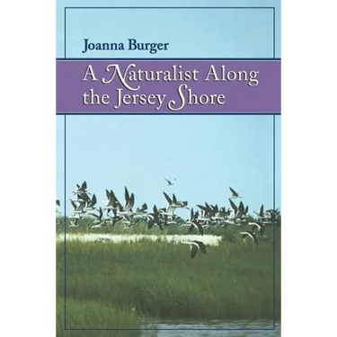 A Naturalist Along the Jersey Shore