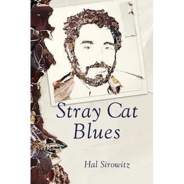 Stray Cat Blues