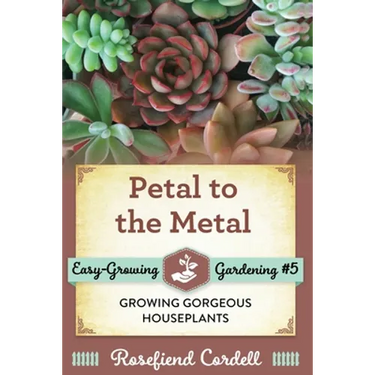 Petal to the Metal: Growing Gorgeous Houseplants
