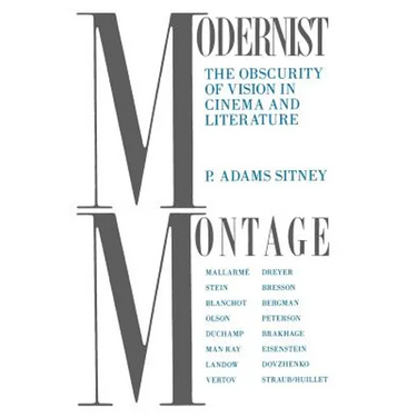 Modernist Montage: The Obscurity of Vision in Cinema and Literature