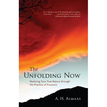 The Unfolding Now: Realizing Your True Nature Through the Practice of Presence