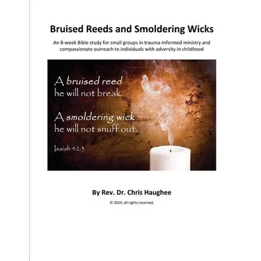 Bruised Reeds and Smoldering Wicks: An 8-week Bible study for small groups in trauma-informed ministry and compassionate outreach to individuals with