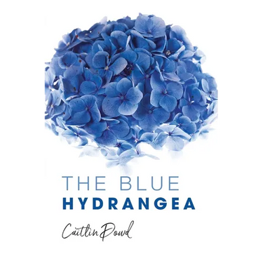 The Blue Hydrangea