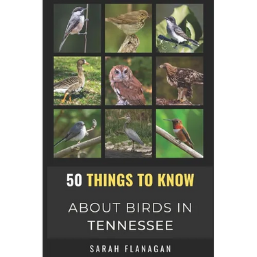 50 Things to Know About Birds in Tennessee: Birding in the Volunteer State