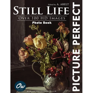 Still Life: Picture Perfect Photo Book