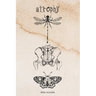atrophy