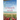 A Beach Wish