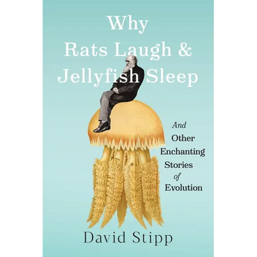 Why Rats Laugh and Jellyfish Sleep: And Other Enchanting Stories of Evolution