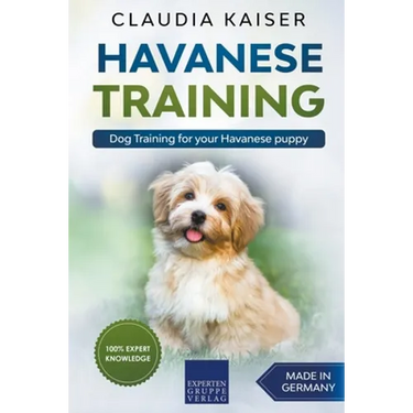 Havanese Training: Dog Training for Your Havanese Puppy