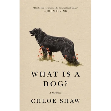 What Is a Dog?: A Memoir