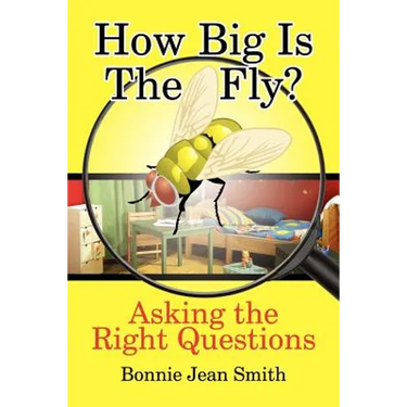 How Big is the Fly?: Asking the Right Questions