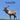 Wyoming Animals and Mammals Wildlife Book: Great Wyoming Animals book with Lifelike Images and Fun Facts