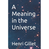 A Meaning in the Universe