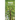 Trees: An Introduction to Familiar North American Species