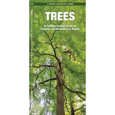 Trees: An Introduction to Familiar North American Species