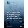 Adopting Circular Economy Current Practices and Future Perspectives