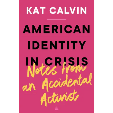 American Identity in Crisis: Notes from an Accidental Activist