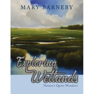 Exploring Wetlands: Nature's Quiet Wonders