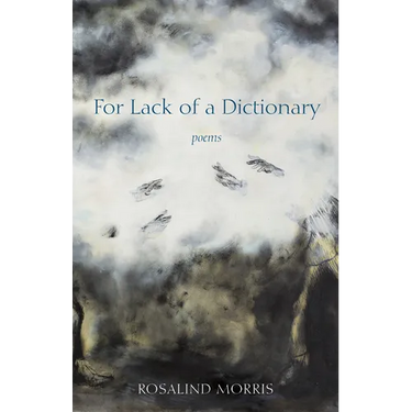 For Lack of a Dictionary
