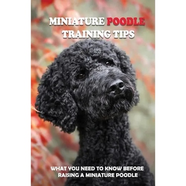 Miniature Poodle Training Tips: What You Need To Know Before Raising A Miniature Poodle: How To Raise A Well-Trained Miniature Poodle