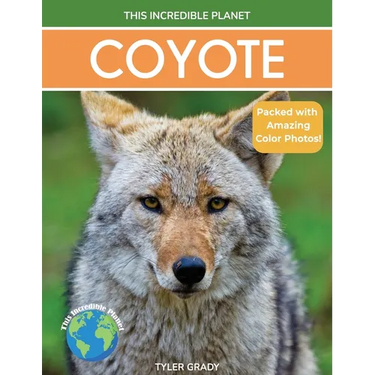 Coyote: Fascinating Animal Facts for Kids