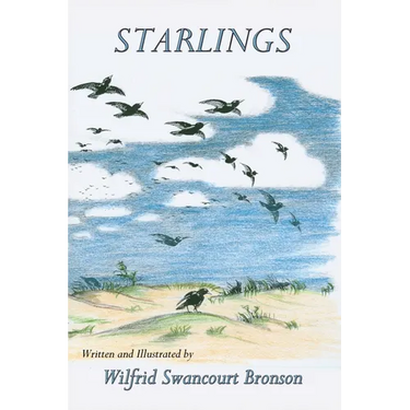 Starlings
