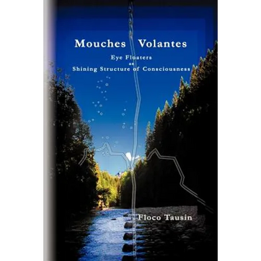 Mouches Volantes - Eye Floaters as Shining Structure of Consciousness