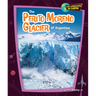The Perito Moreno Glacier of Argentina