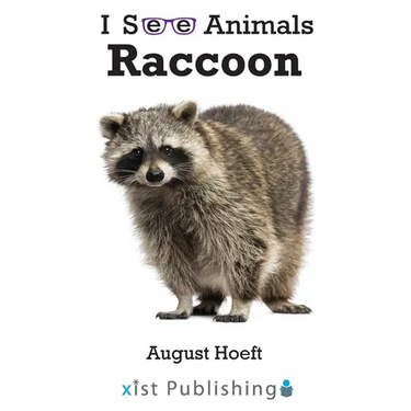 Raccoon