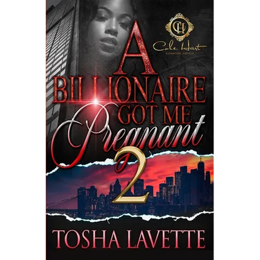 A Billionaire Got Me Pregnant 2
