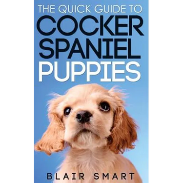 The Quick Guide to Cocker Spaniel Puppies