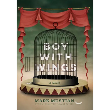 Boy With Wings