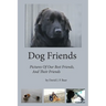 Dog Friends